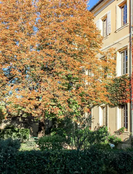 Hôtel particulier Annonces mai 2026