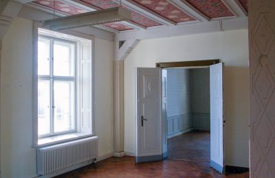 Herrenhaus/Gutshaus erwerben 02747 Strahwalde, Schlossweg 11, Sachsen, Großer Saal