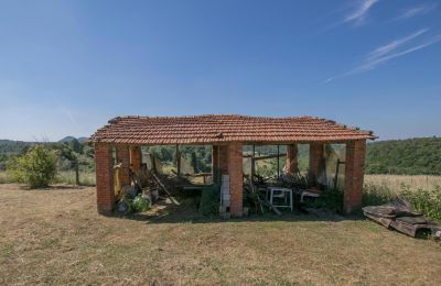 Bauernhaus kaufen Asciano, Toskana:  RIF 2982 Unterstellmöglichkeit