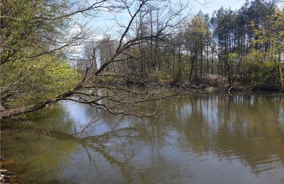 Historischer Park kaufen Dębe Wielkie, Ruda, Masowien:  Teich/See