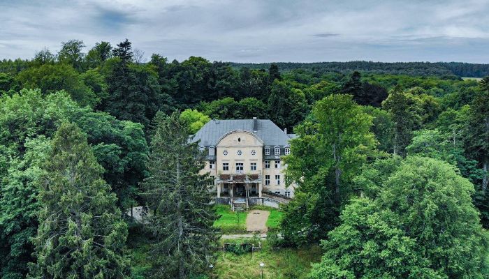 Schloss kaufen Trzcinno, Pommern,  Polen