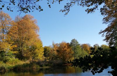 Schloss kaufen Trzcinno, Trzcinno 21, Pommern:  Teich/See