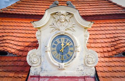 Schloss kaufen Mirošov, Zámek Mirošov, okres Rokycany, Details