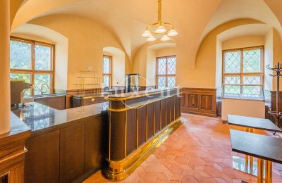 Castello in vendita Mirošov, Zámek Mirošov, Plzeňský kraj, Foto 19/30