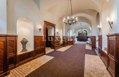 Castello in vendita Mirošov, Zámek Mirošov, Plzeňský kraj, Sala d'ingresso