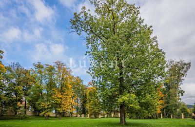 Castello in vendita Mirošov, Zámek Mirošov, Plzeňský kraj, Foto 24/30