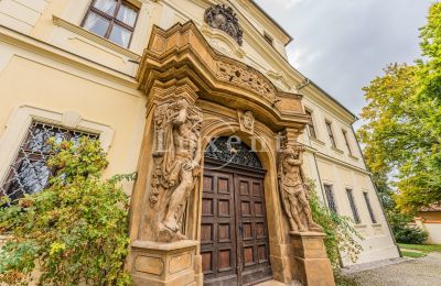 Castello in vendita Mirošov, Zámek Mirošov, Plzeňský kraj, Foto 29/30