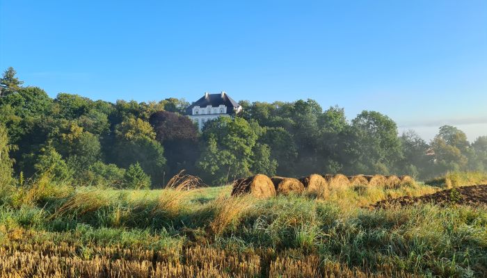 Schloss Piszkowice 1