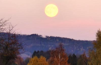 Schloss kaufen Piszkowice, Niederschlesien, Okokica