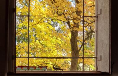 Schloss kaufen Piszkowice, Niederschlesien, Foto 25/28