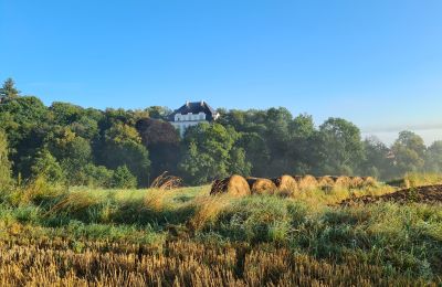 Schloss kaufen Piszkowice, Niederschlesien:  