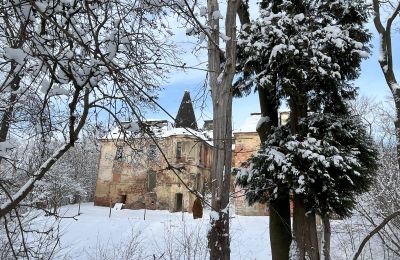 Castello in vendita Komorowice, Wrocławska 27, Bassa Slesia, Foto 33/36