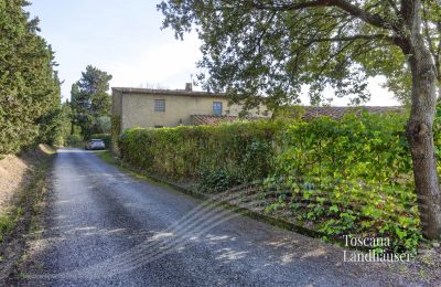 Landhaus kaufen Castagneto Carducci, Toskana:  RIF 3057 Zufahrt
