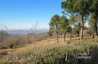 Landhaus kaufen Gaiole in Chianti, Toskana:  RIF 3041 Ausblick