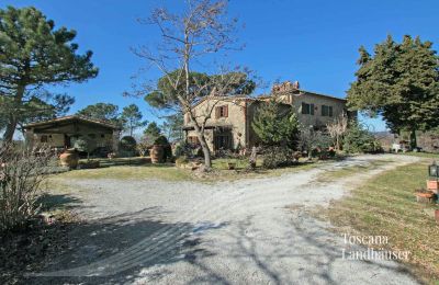 Landhaus kaufen Gaiole in Chianti, Toskana:  RIF 3041 Zufahrt