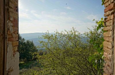 Bauernhaus kaufen 06019 Preggio, Umbrien:  Aussicht