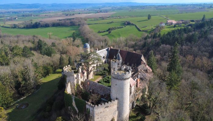 Castello in vendita Veauce, Auvergne-Rhône-Alpes,  Francia