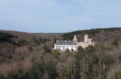 Château à vendre Veauce, Auvergne-Rhône-Alpes, Situation du bien
