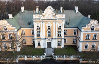 Schloss kaufen Czempiń, Großpolen:  Drohne