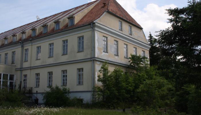 Herrenhaus/Gutshaus Fincken 4