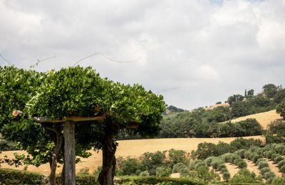 Landhaus kaufen Manciano, Toskana:  RIF 3084 Garten