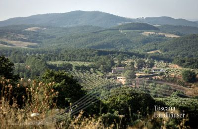 Landhaus kaufen Manciano, Toskana:  RIF 3084 Blick auf Anwesen