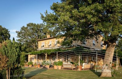 Landhaus kaufen Manciano, Toskana:  RIF 3084 Haus und Terrasse