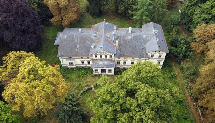 Manoir à vendre Stradzewo, Poméranie occidentale,  Pologne