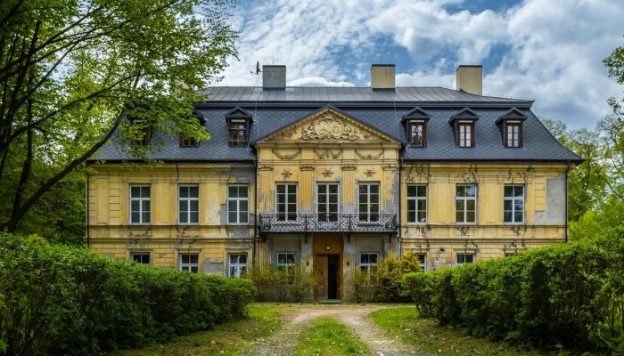 Schloss Nakło 2