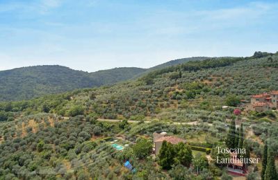 Landhaus kaufen Loro Ciuffenna, Toskana:  RIF 3098 Anwesen und Umgebung
