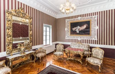 Castello kaufen Szombathely, Contea di Vas, Foto 20/21