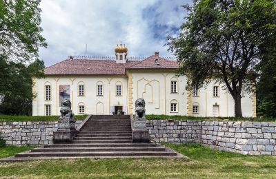 Schloss kaufen Szombathely, Komitat Vas:  Rückansicht