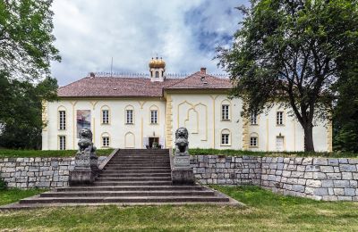 Castello kaufen Szombathely, Contea di Vas, Vista posteriore