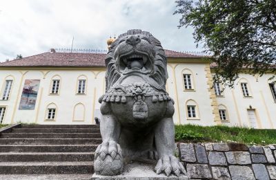 Castello kaufen Szombathely, Contea di Vas, Foto 3/21