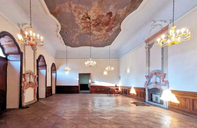 Schloss kaufen Dobříš, Středočeský kraj:  Ballsaal
