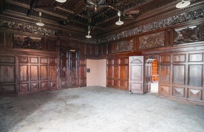 Schloss in vendita Bożków, Palac Wilelma von Magnis 1, Niederschlesien, Jagdzimmer