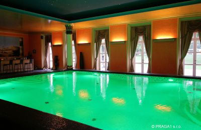 Castello in vendita Hlavní město Praha, Piscina