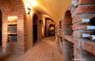 Castello in vendita Hlavní město Praha, Cantina