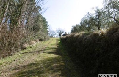 Landhaus kaufen Rivalto, Toskana:  Zufahrt