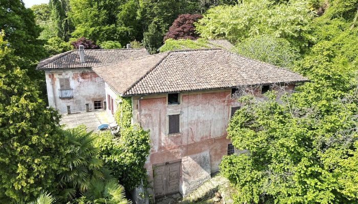 Historische Villa Oggebbio 5