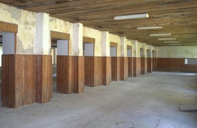 Herrenhaus/Gutshaus kaufen Region Nitra, Foto 7/19