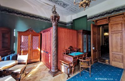 Schloss kaufen Jihočeský kraj, Foto 16/21