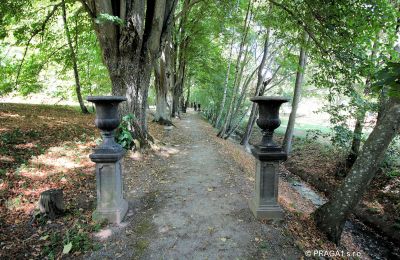 Schloss kaufen Jihočeský kraj, Park