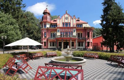 Schloss kaufen Jihočeský kraj, Vorderansicht