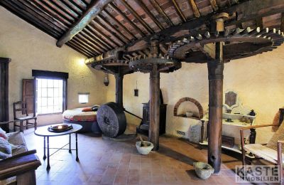 Moulin à vendre Camaiore, Toscane, Image 3/12