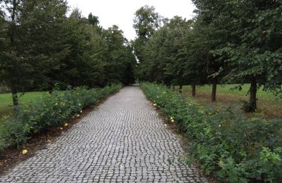 Herrenhaus/Gutshaus kaufen Zarębów, Dwór w Zarębowie, Lodz:  Zufahrt