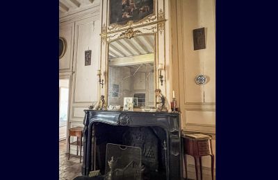 Schloss kaufen Le Mans, Pays de la Loire:  Kamin