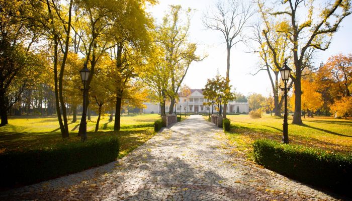 Villa padronale in vendita Zborów, Grande Polonia,  Polonia