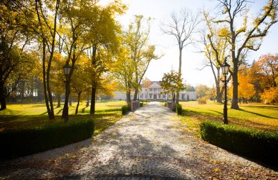 Herrenhaus/Gutshaus kaufen Zborów, Kownackiej 33, Großpolen:  Zufahrt