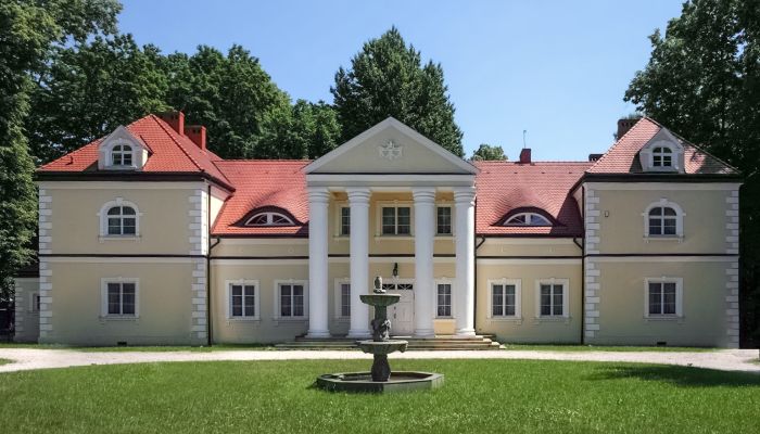 Schloss Radoszewnica 1